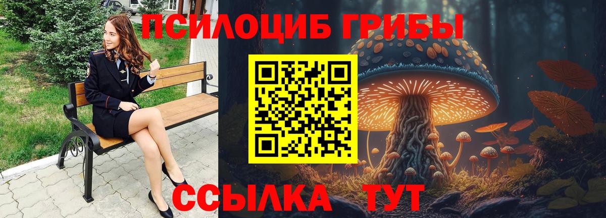 Псилоцибиновые грибы Psilocybe Лангепас